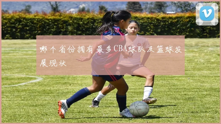 哪个省份拥有最多CBA球队及篮球发展现状