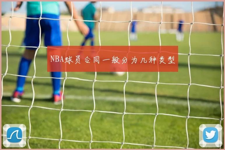 NBA球员合同一般分为几种类型
