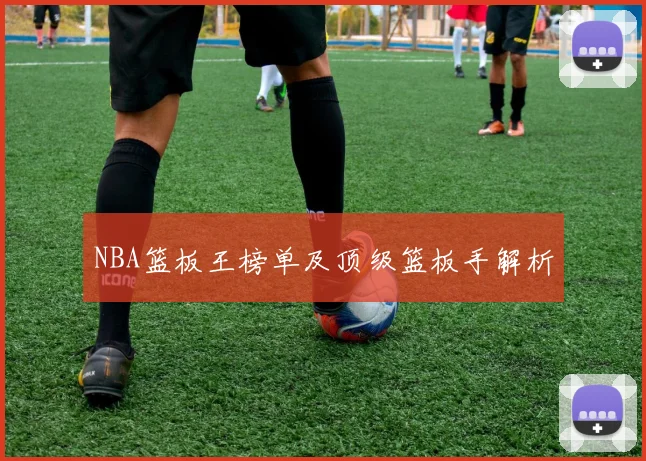 NBA篮板王榜单及顶级篮板手解析