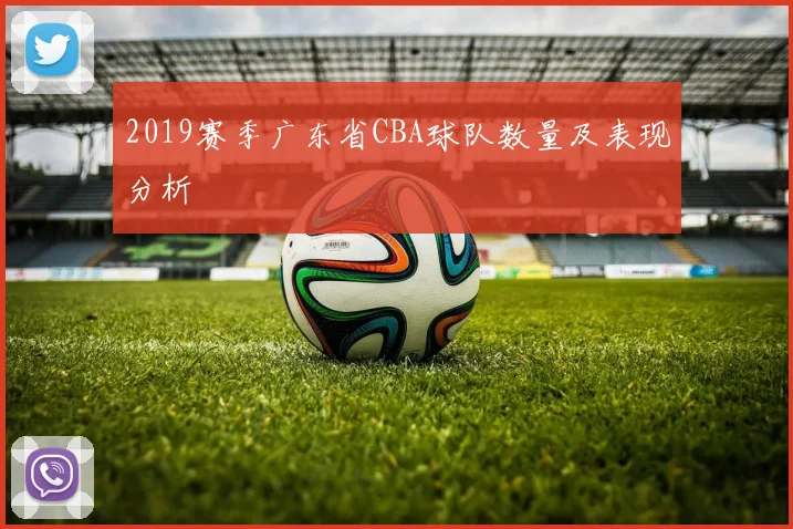 2019赛季广东省CBA球队数量及表现分析