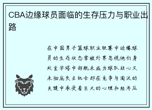 CBA边缘球员面临的生存压力与职业出路